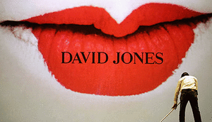 Sales dive at David Jones  